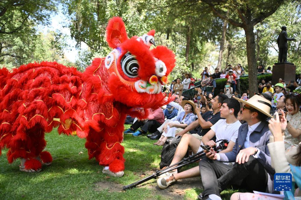 大富豪单机游戏